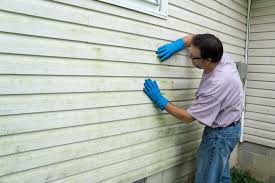 Best Custom Trim and Detailing for Siding  in Elkhorn City, KY